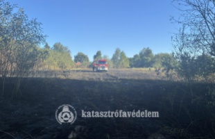 Az udvarból az erdőig jutottak a lángok