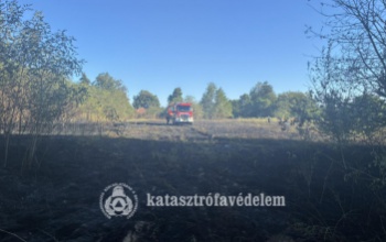 Az udvarból az erdőig jutottak a lángok