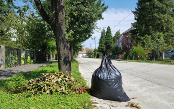 Ne tegye ki feleslegesen a zöldhulladékot!
