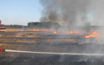 2,5 hektáron égett az aljnövényzet