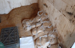 Lapáttal porciózták a dohányt