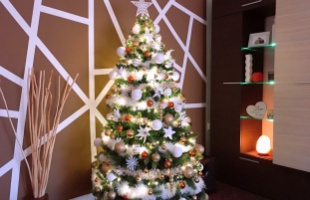 Roli és Niki karácsonyfája