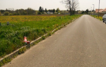 Kárt okoztak, leléptek, keresi őket a rendőrség