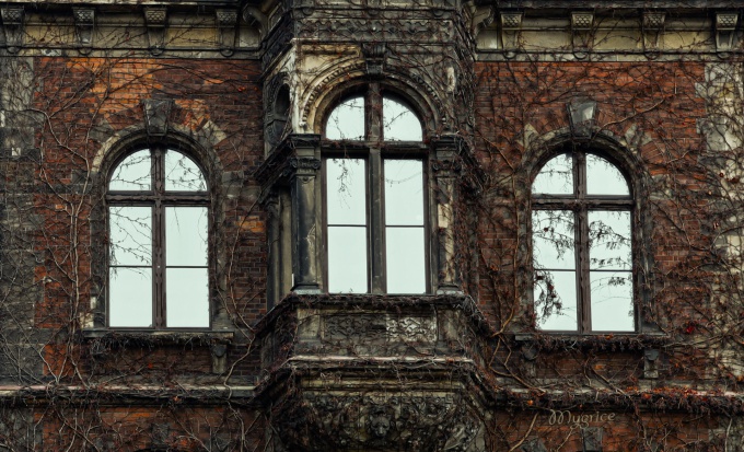 Belső rend