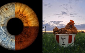 Két dobogós helyezést ért el Kasza Kitti az Országos Diákfotó-pályázaton
