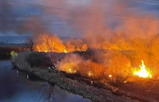Több hektáron égett le a nádas Balatonszentgyörgynél, egy mocsárjárót is bevetettek