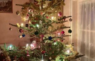 Nyúlék karácsonyfája