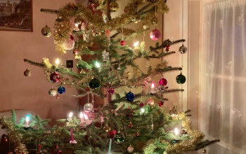 Nyúlék karácsonyfája