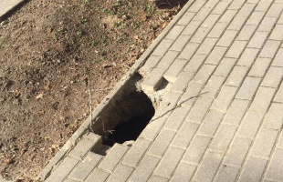 Egy méretes lyuk tátong a Virág utcai járdán