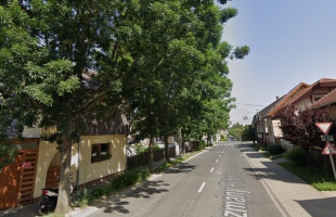 Metszik a fákat hétvégén a Pázmány Péter utcában