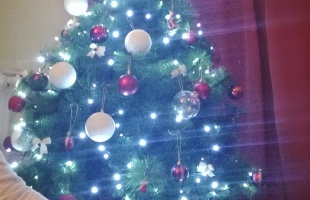 Hajni&Tibcsi karácsonyfája