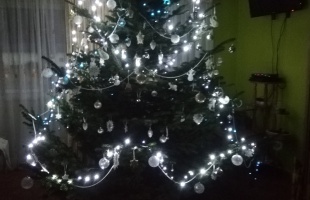 Körösiék karácsonyfája