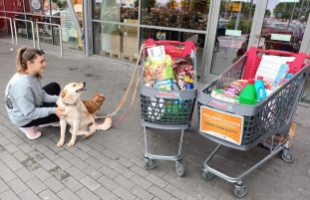 Vasárnap is támogathatja a Kutyatárat!