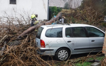 Parkoló autóra dőlt egy fa a Zrínyi utcában