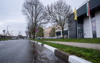 Rejtélyes csíkok jelentek meg Kaposvár útjain