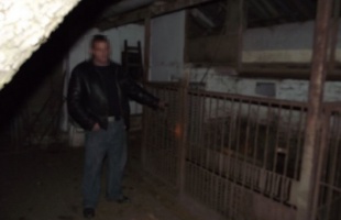 Karácsonykor lopta el a cocát