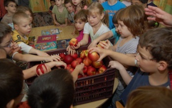 Folytatódik az iskolagyümölcs-program