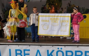 Laposra taposták a kartondobozokat