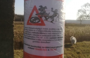 Kutyákra is veszélyes ölőcsapdákat helyezhettek el a Kapos folyó mentén