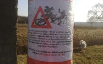 Kutyákra is veszélyes ölőcsapdákat helyezhettek el a Kapos folyó mentén