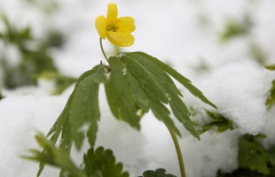 Hideg lesz a héten, Bánkúton havazott is