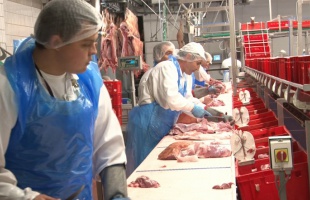 Kivásárolja a Kométa a cég önkormányzati részvényeinek nagy részét