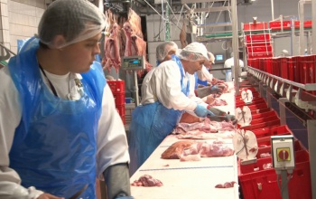 Kivásárolja a Kométa a cég önkormányzati részvényeinek nagy részét