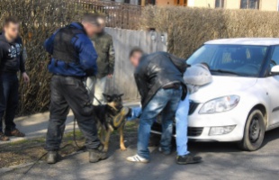 Vádat emeltek a menekülő tolvaj ellen