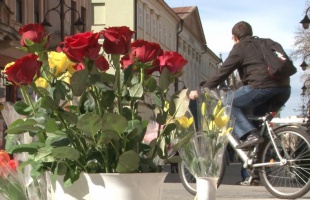 Virág körkép: a szegfű kiment a divatból