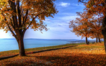 Terített asztalok és nyitott pincék az őszi a Balatonnál