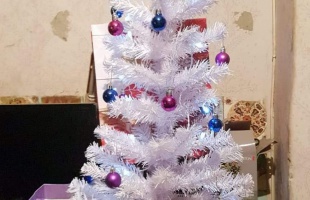 Bednár Dávid karácsonyfája