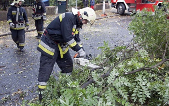 Kidőlt fákat távolítottak el a tűzoltók