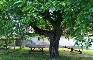 Írni bárhol lehet