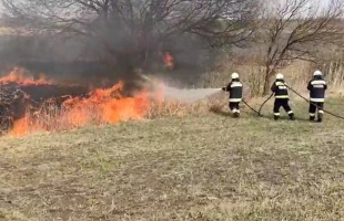 Égett a nádas, veszélybe kerültek az állatok - VIDEÓ