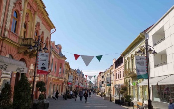 Molinókon a forradalom és szabadságharc története a sétálóutcán