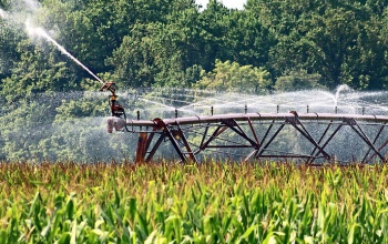 A gazdáknak védelemre van szükségük a koronavírus okozta agrárpiaci válsághelyzetben