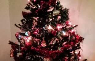 Anita karácsonyfája