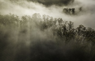 Ködös, párás idő várható a következő napokban (is)