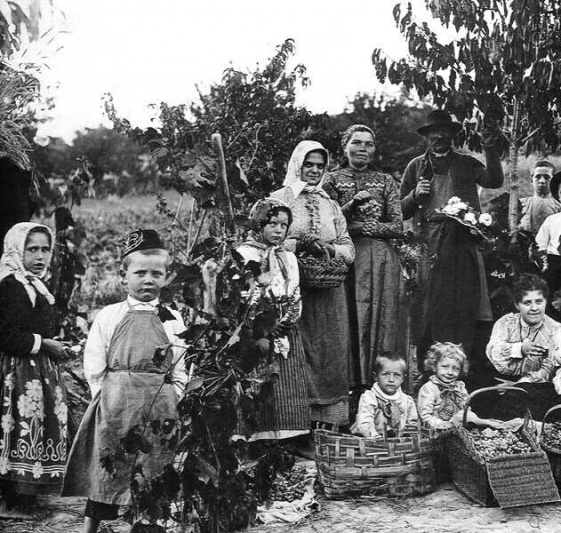 szuret