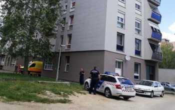 Elkapták a Béke utcai drogterjesztőt