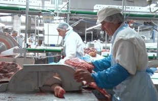 Gyárlátogatásra  mentek a képviselők a Kométához
