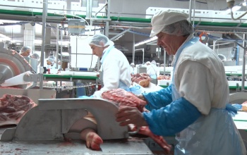 Gyárlátogatásra  mentek a képviselők a Kométához