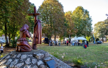 Egyre zöldebb lesz a szentjakabi városrész
