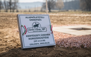 Gigantikus méretű üvegház épül a Zselicben