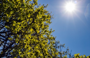 A szombati az idei első nyári nap