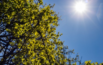 A szombati az idei első nyári nap