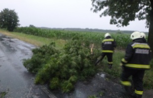 Munkában a szivattyúk és a motorfűrészek