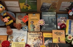 A méhekre hívja fel a figyelmet a könyvtár