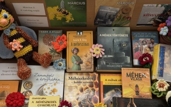 A méhekre hívja fel a figyelmet a könyvtár