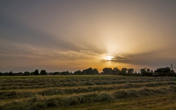 Az első nagyobb hőhullám